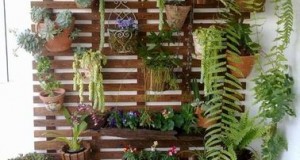 Aménager un mur végétal est une super idée pour donner une seconde vie à des plantes pour suspensions. Celui-ci dégage la vue et donne une impression d’opulence très séduisante.